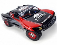 Team Losi mini SCT